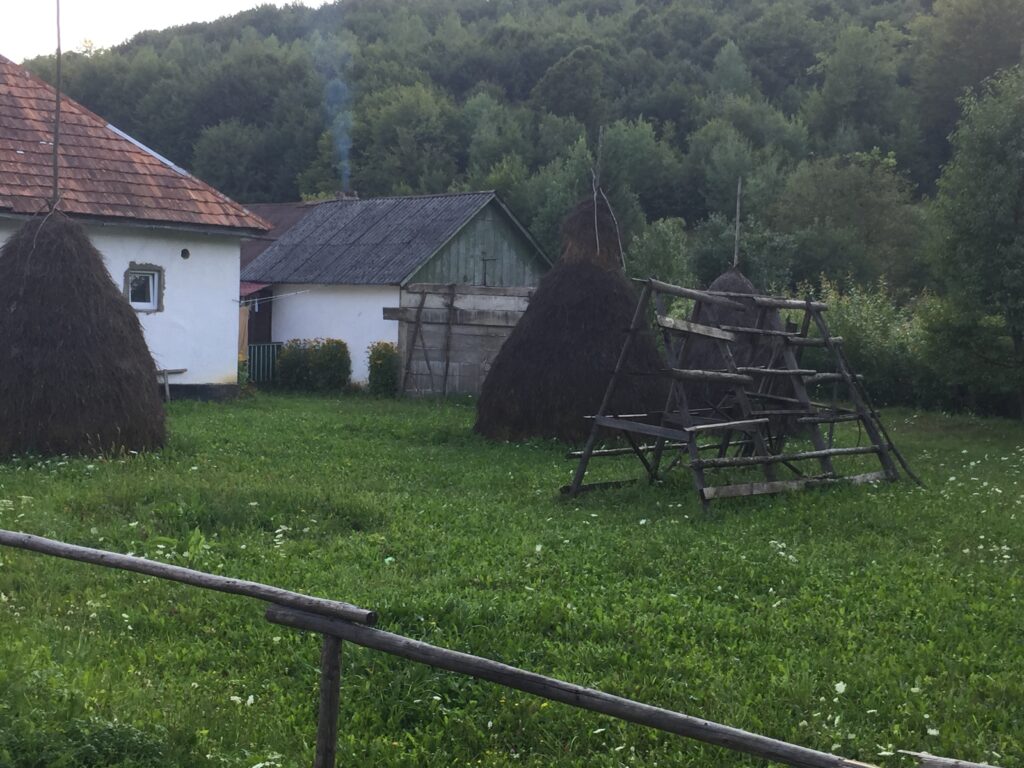 small houses in ukrainian vilage